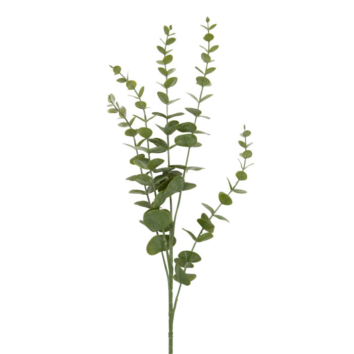 Faux Eucalyptus