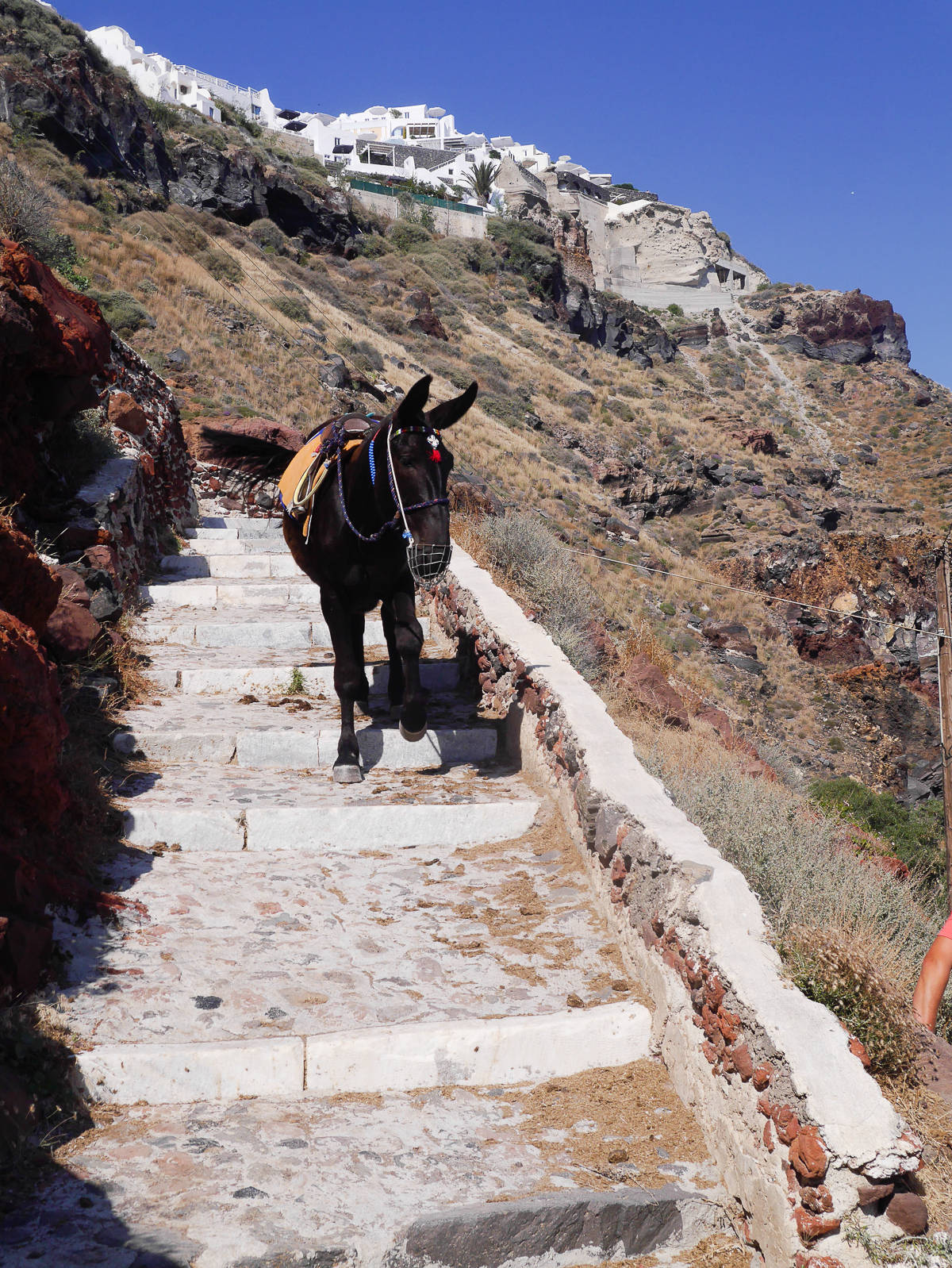 Santorini, Greece-30