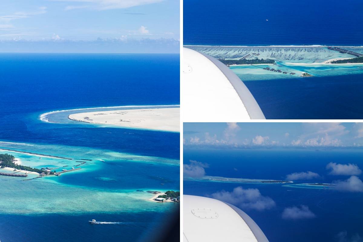 Untitled design (48)