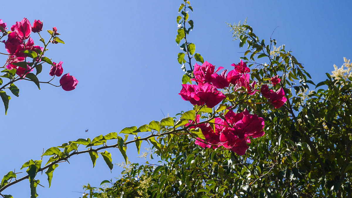 exploring kefalonia-1