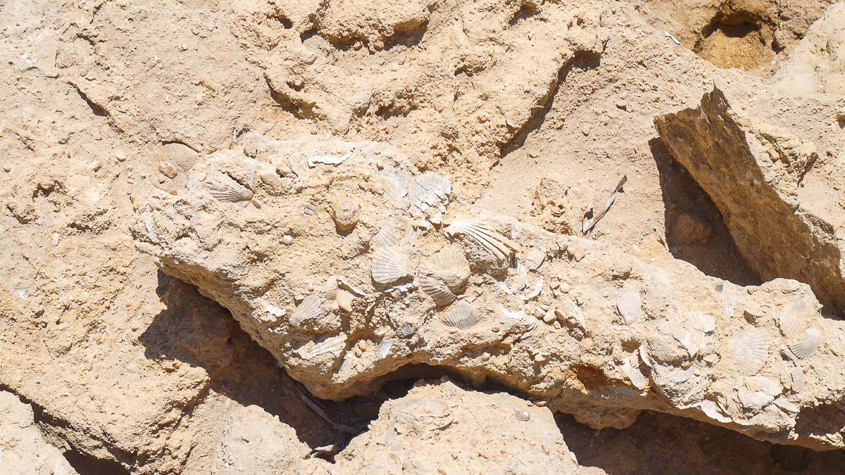 exploring kefalonia-26