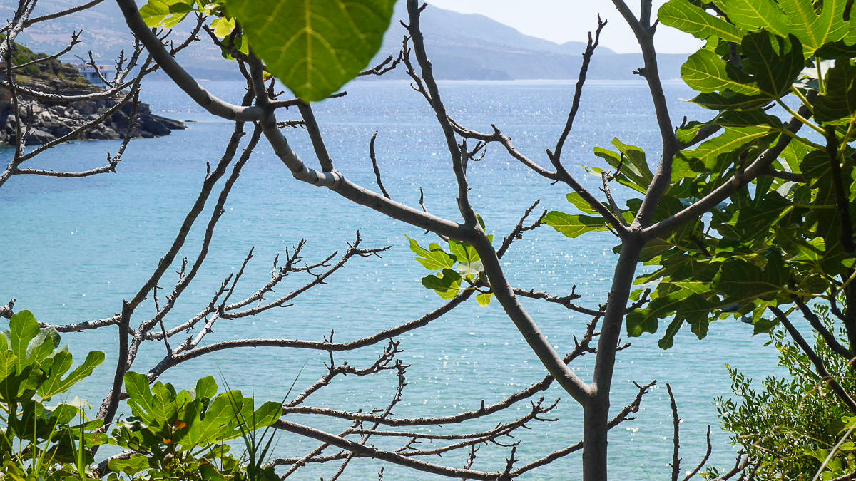 exploring kefalonia-9